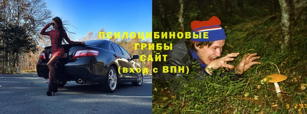 гашик Кулебаки