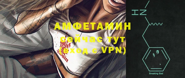гашик Кулебаки